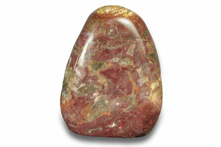 Free-Standing, Polished Petrified Wood - Madagascar #271812